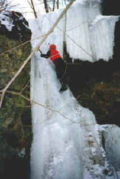 BRANLEFT.JPG (226043 bytes)