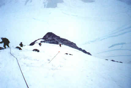 Cleaver.JPG (203384 bytes)