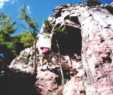 GARRETT.JPG (285689 bytes)