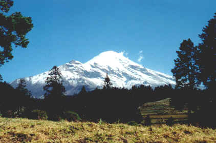 Pico.jpg (268444 bytes)