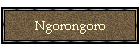 Ngorongoro