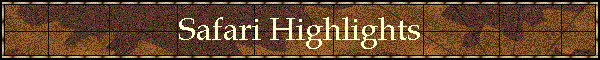 Safari Highlights